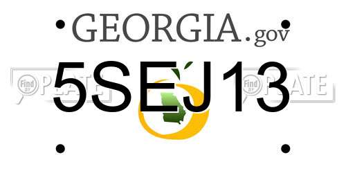 5SEJ13 Georgia License Plate