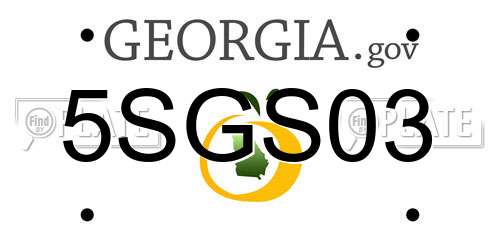 5SGS03 Georgia License Plate