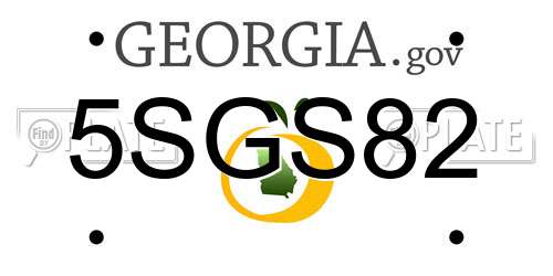 5SGS82 Georgia License Plate