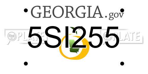 5SI255 Georgia License Plate