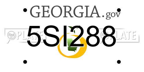 5SI288 Georgia License Plate