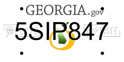 5SIP847 Georgia License Plate
