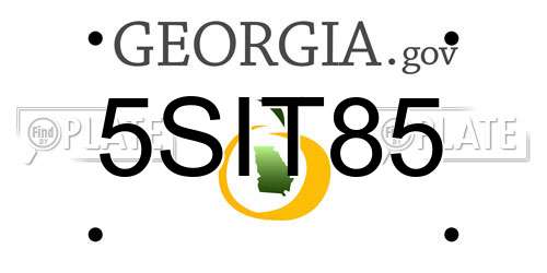 5SIT85 Georgia License Plate