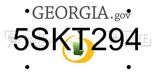 5SKT294 Georgia License Plate