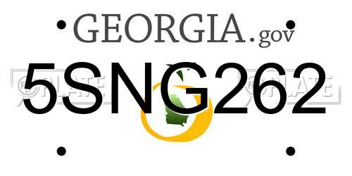 5SNG262 Georgia License Plate