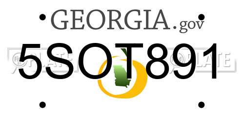 5SOT891 Georgia License Plate
