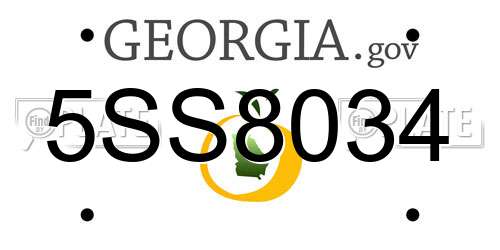 5SS8034 Georgia License Plate