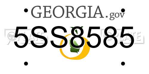5SS8585 Georgia License Plate