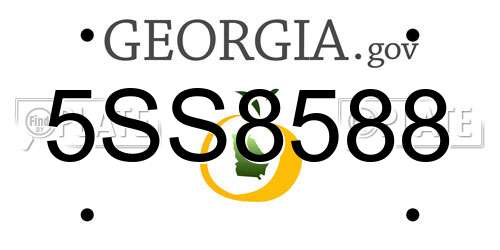 5SS8588 Georgia License Plate