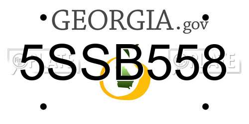 5SSB558 Georgia License Plate