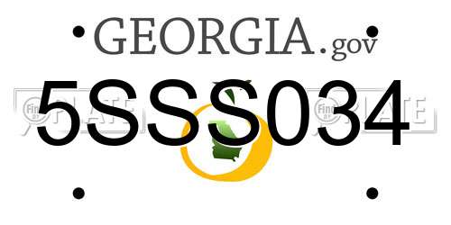 5SSS034 Georgia License Plate