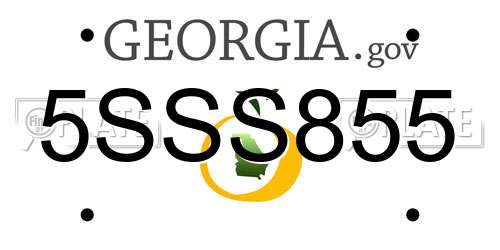 5SSS855 Georgia License Plate