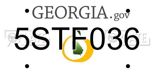 5STF036 Georgia License Plate