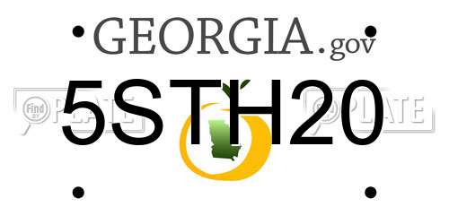 5STH20 Georgia License Plate