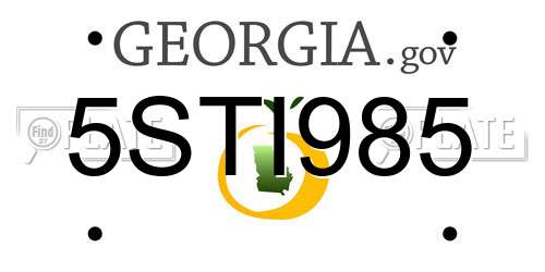 5STI985 Georgia License Plate