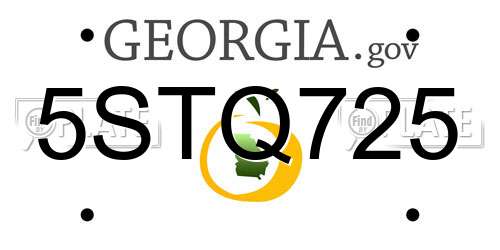 5STQ725 Georgia License Plate