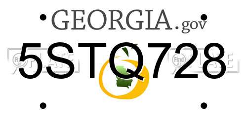 5STQ728 Georgia License Plate