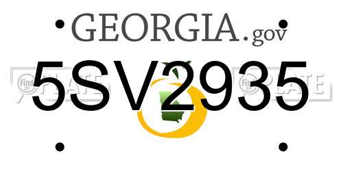 5SV2935 Georgia License Plate