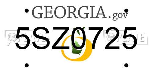 5SZ0725 Georgia License Plate