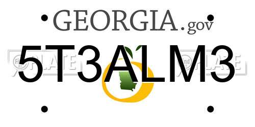 5T3ALM3 Georgia License Plate