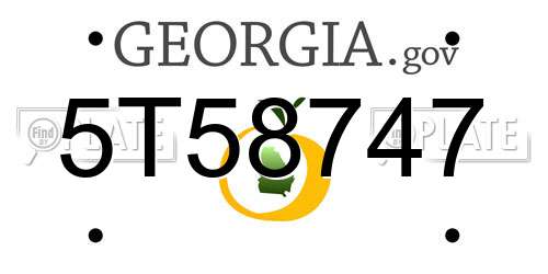 5T58747 Georgia License Plate