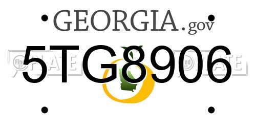 5TG8906 Georgia License Plate