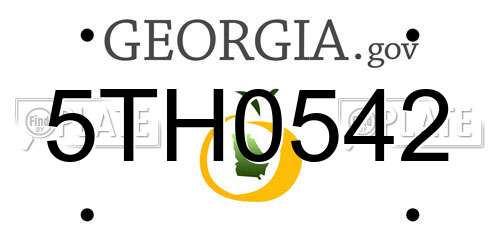 5TH0542 Georgia License Plate