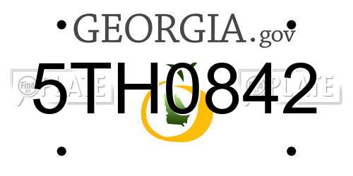 5TH0842 Georgia License Plate