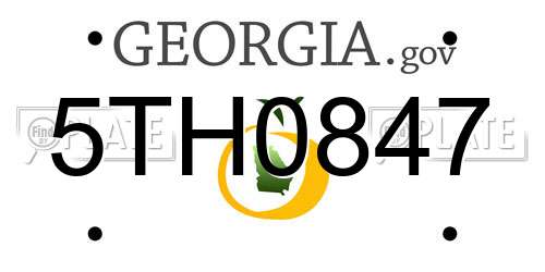 5TH0847 Georgia License Plate