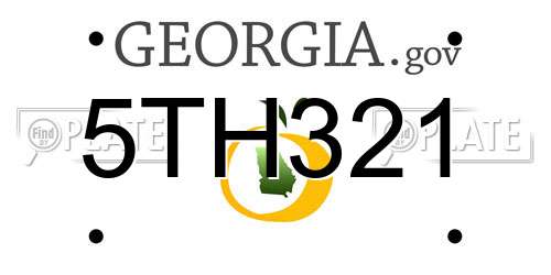 5TH321 Georgia License Plate