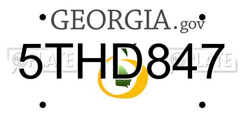 5THD847 Georgia License Plate