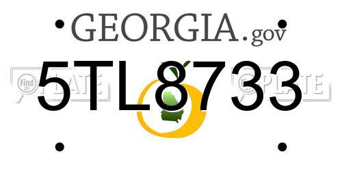 5TL8733 Georgia License Plate
