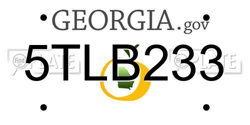 5TLB233 Georgia License Plate