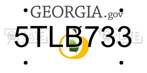 5TLB733 Georgia License Plate