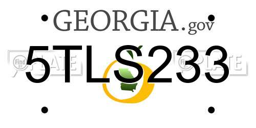 5TLS233 Georgia License Plate
