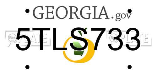 5TLS733 Georgia License Plate
