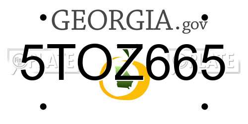 5TOZ665 Georgia License Plate