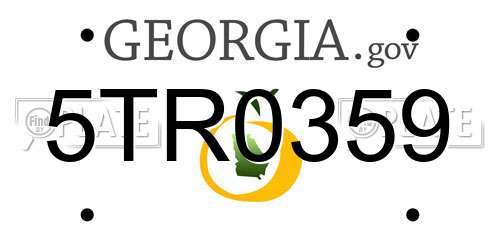5TR0359 Georgia License Plate
