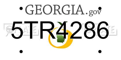 5TR4286 Georgia License Plate