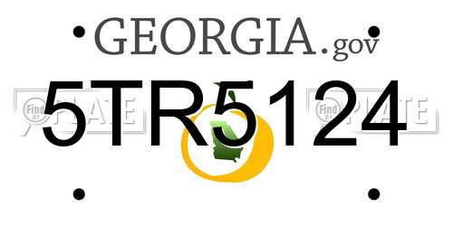 5TR5124 Georgia License Plate