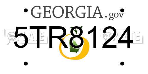5TR8124 Georgia License Plate