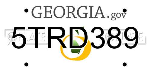 5TRD389 Georgia License Plate