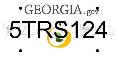 5TRS124 Georgia License Plate