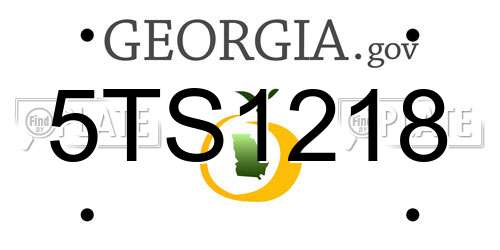5TS1218 Georgia License Plate
