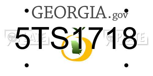 5TS1718 Georgia License Plate