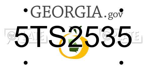 5TS2535 Georgia License Plate