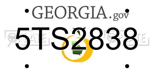 5TS2838 Georgia License Plate