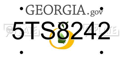 5TS8242 Georgia License Plate