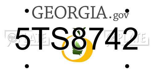 5TS8742 Georgia License Plate