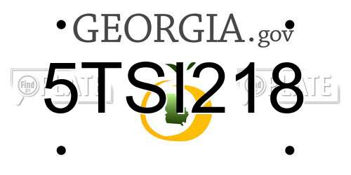 5TSI218 Georgia License Plate